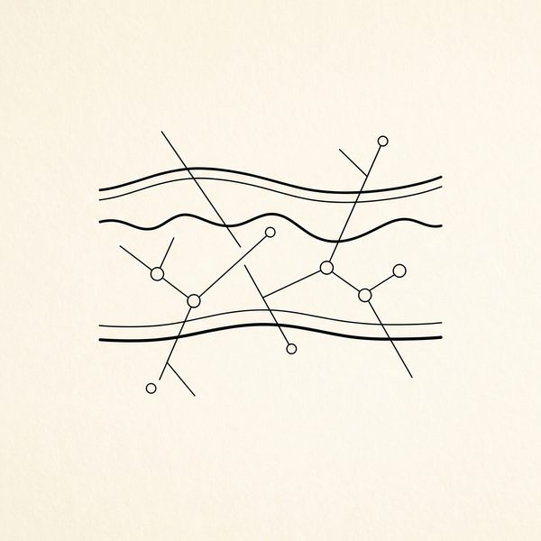 Minimalistische Illustration der Hautschichten